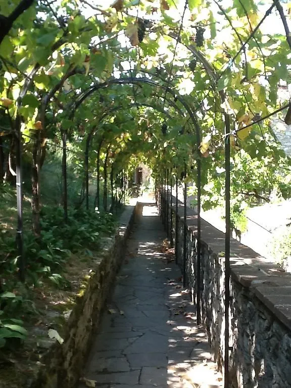 Garden Apartment Greve in Chianti
